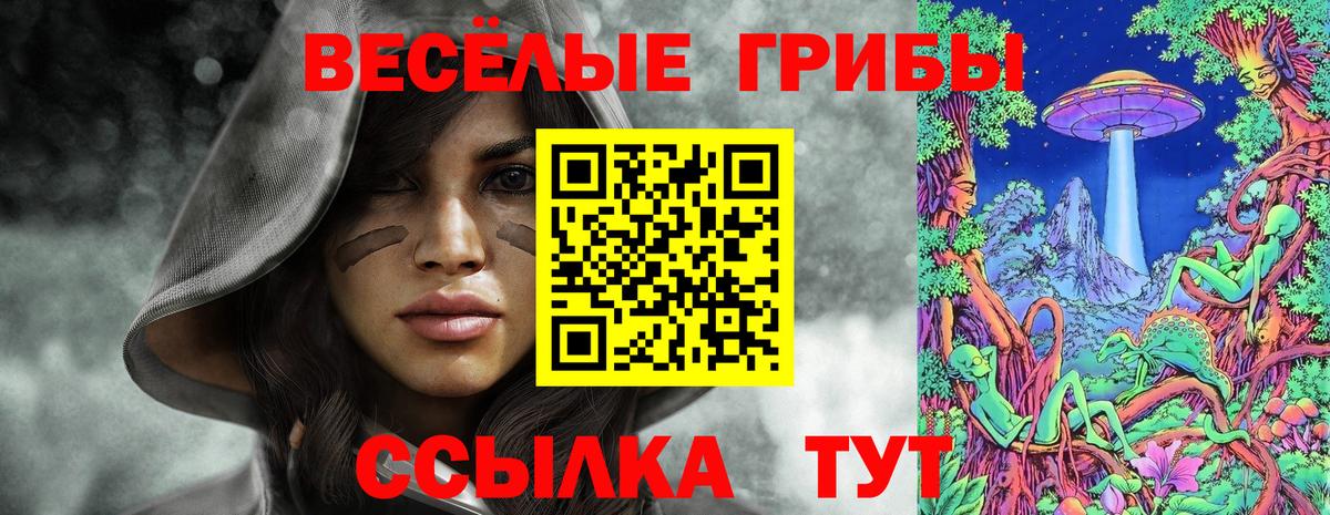 Сызрань  Галлюциногенные грибы GOLDEN TEACHER  Вход с VPN  Псилоцибиновые грибы Psilocybine cubensis 