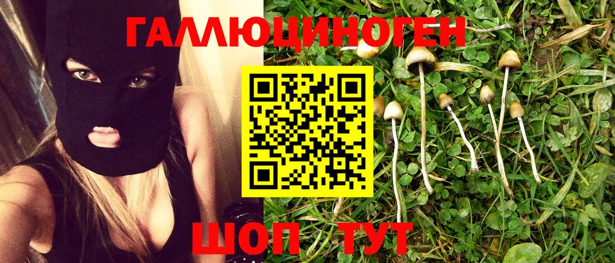 Галлюциногенные грибы ЛСД Сызрань